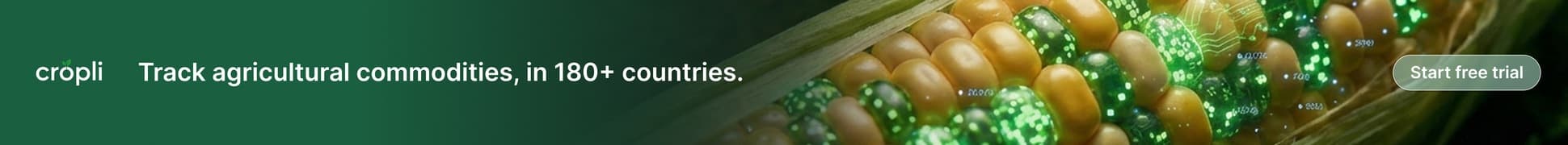 Large Leaderboard ad example