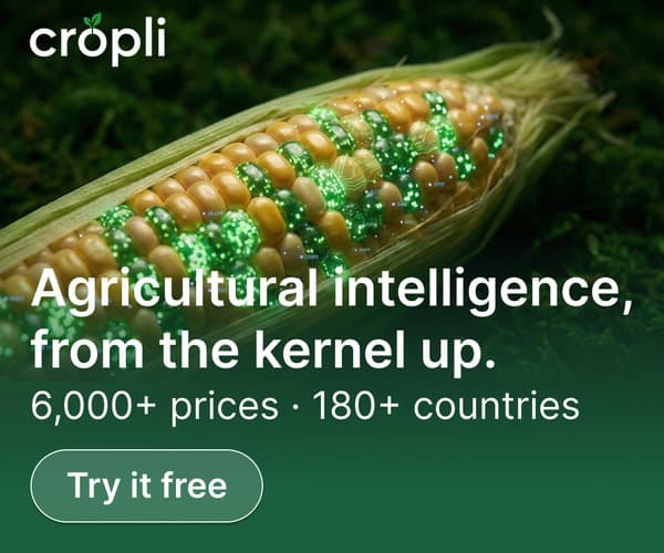 Medium Rectangle ad example